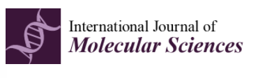 international journal of molecular sciences