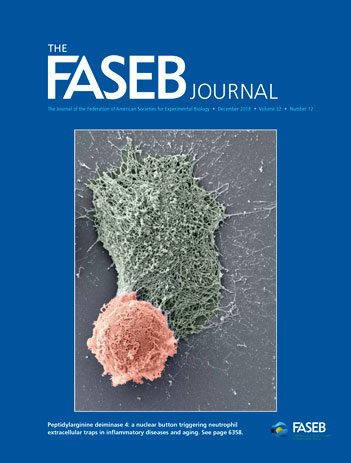 faseb journal